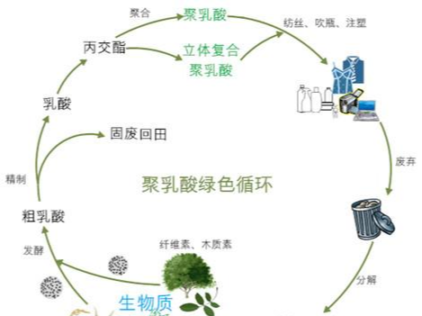 可降解物料是什么？有哪些類別及用途？